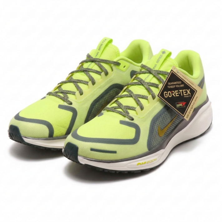 나이키 여성 페가수스 41 고어텍스 런닝화 방수 쿠셔닝 올웨더 운동화