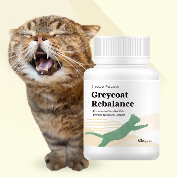 야옹섬 고양이 영양제 염증 리밸런스 구내염 췌장염 턱드름 신부전 관리 2개월 60캡슐