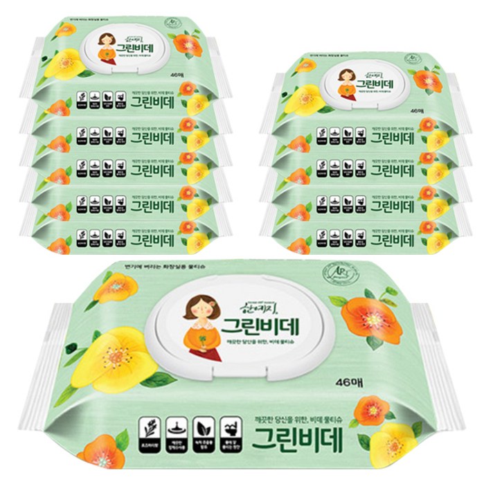 한예지 그린비데 물티슈 캡형, 10팩