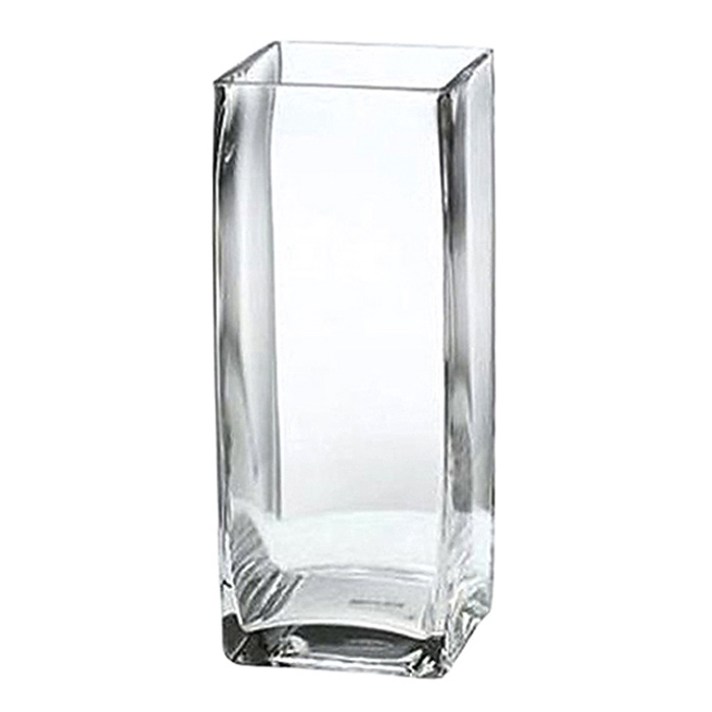 글라스코 사각화병, 투명