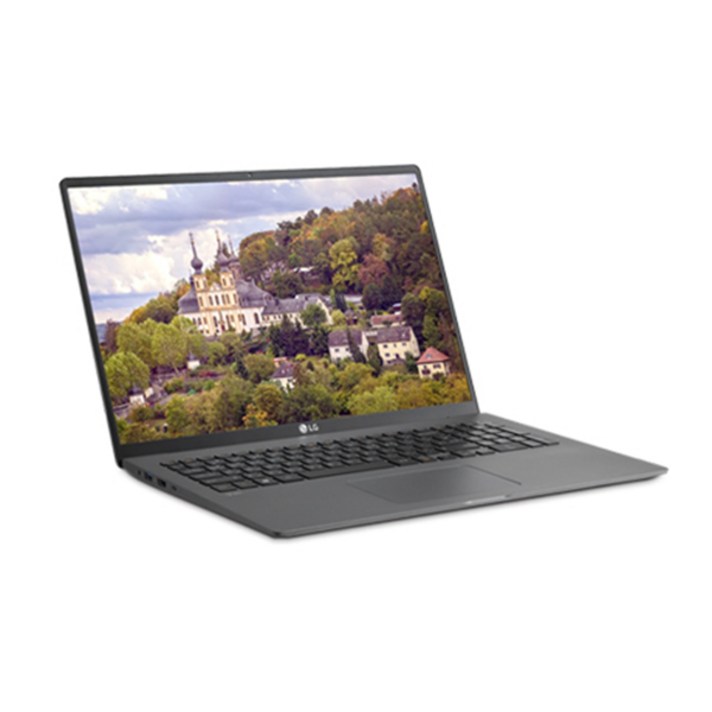 LG전자 2020 그램17 노트북 17ZD90N-VX7BK (i7-1065G7 43.1cm), NVMe 256GB, 8GB, Free DOS