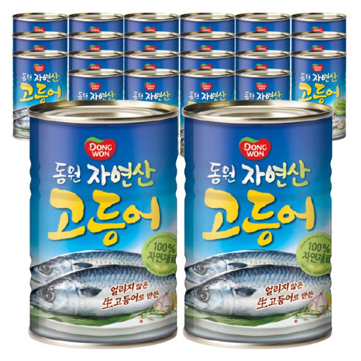 동원 고등어, 400g, 24개