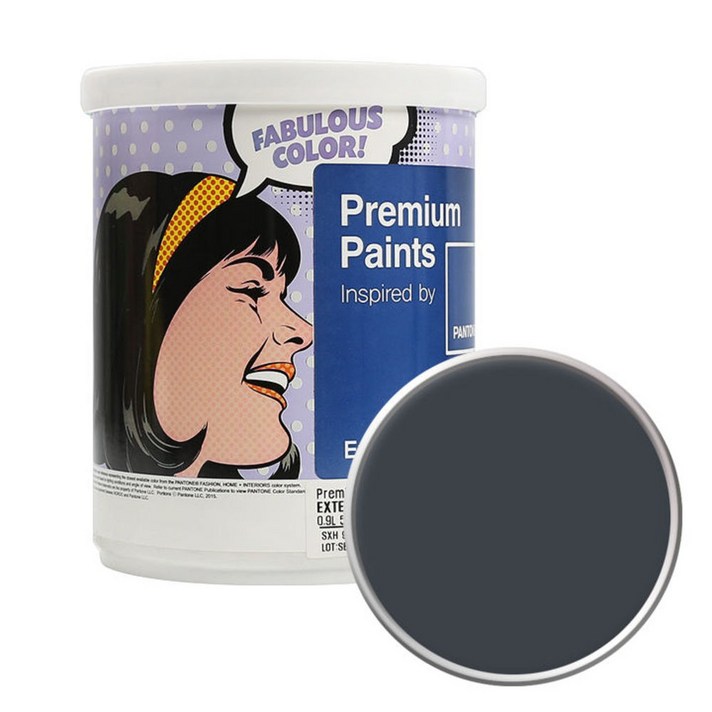 노루페인트 팬톤 외부용 실외 저광 페인트 1L, 19-4104 Ebony