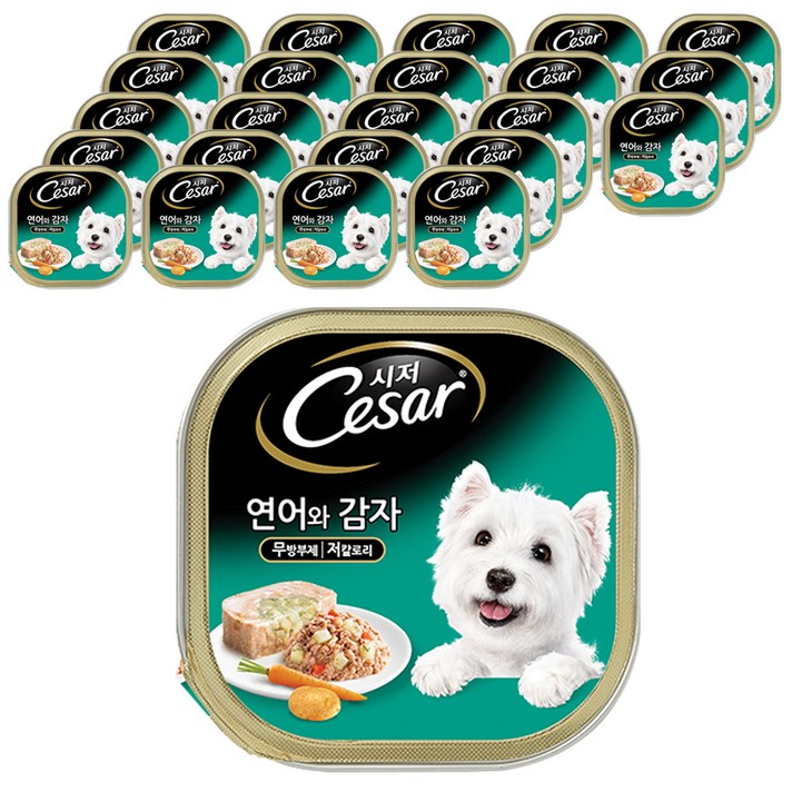 시저 반려견 주식캔 연어와 감자, 100g, 24개입