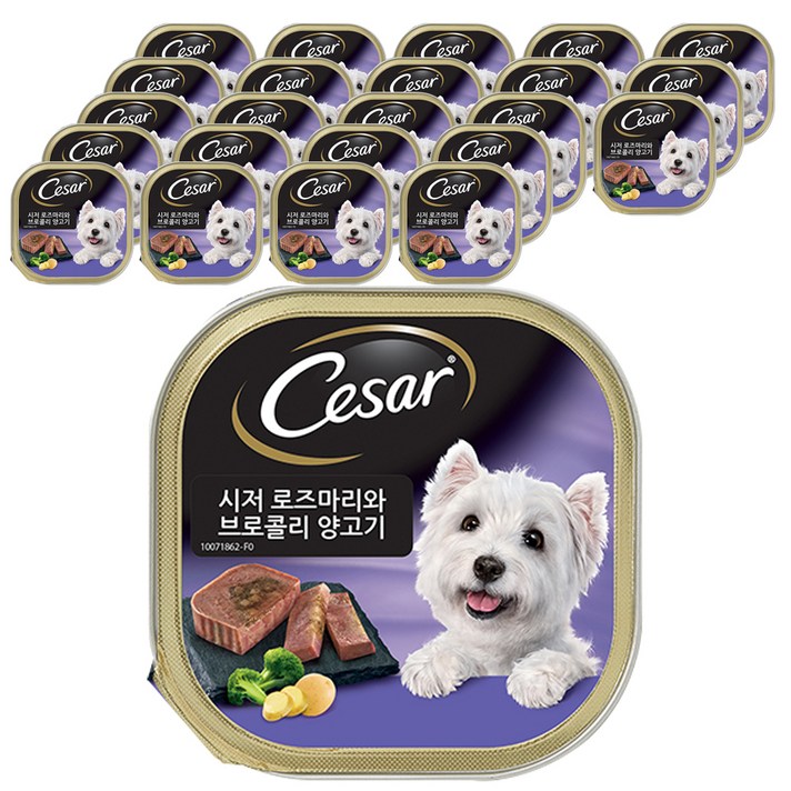 시저 반려견 주식캔 로즈마리와 브로콜리양고기, 100g, 24개입