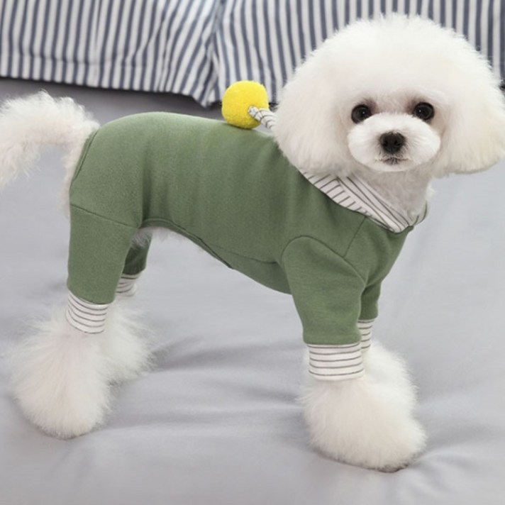 아이앤엘 강아지 고깔 모자 올인원, 그린