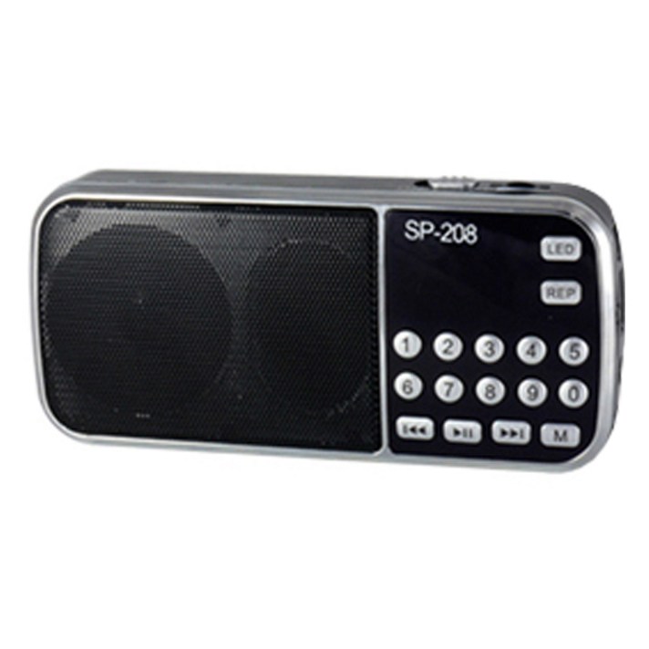 텐교 효도 라디오 스피커, SP-208, 블랙