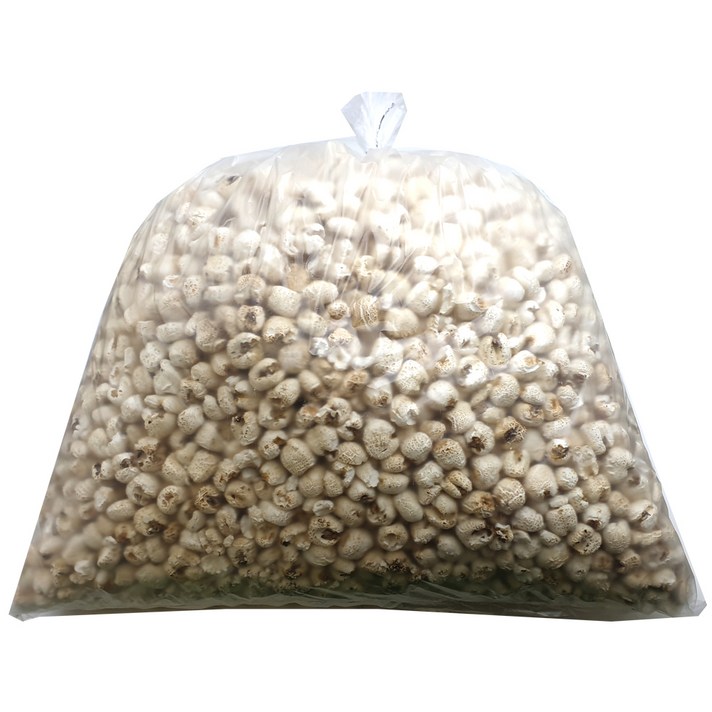 성부식품 강냉이, 1.2kg, 1개