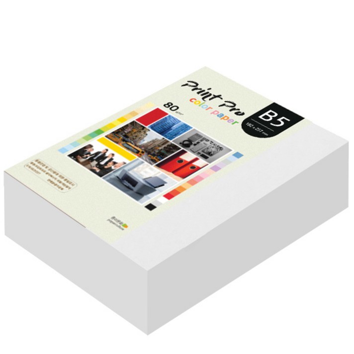 종이문화 프린트 프로 칼라 복사용지 No 30 스노우화이트 80g, B5, 680개