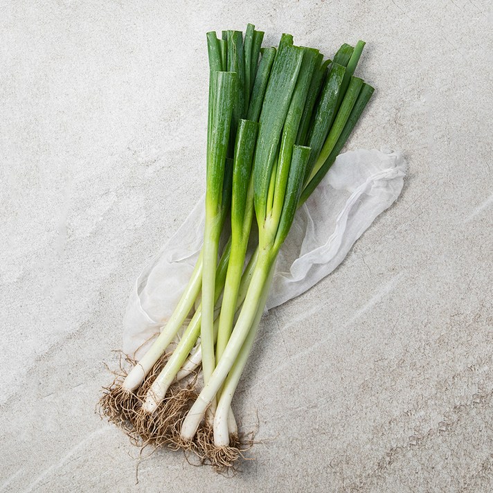 국내산 흙대파, 1kg, 1봉