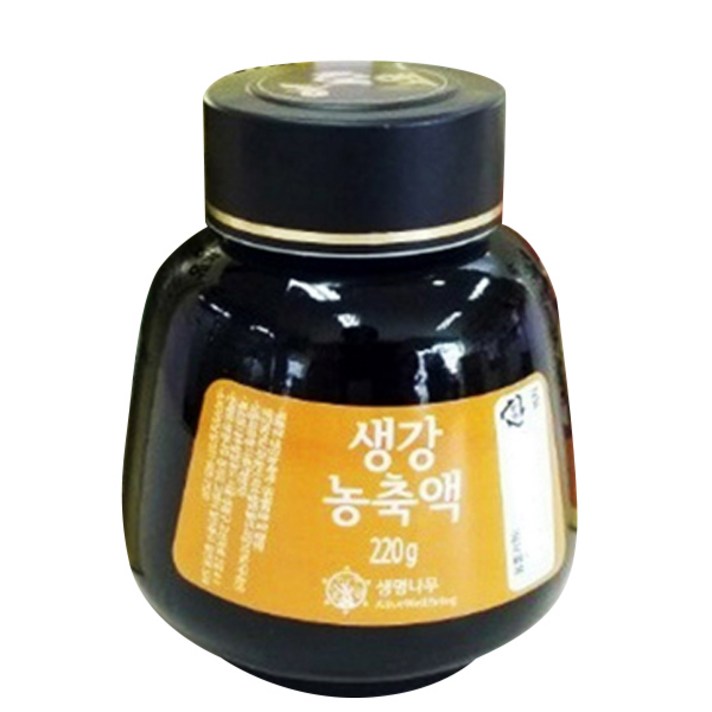 생명나무식품 생강농축액, 220g, 1개