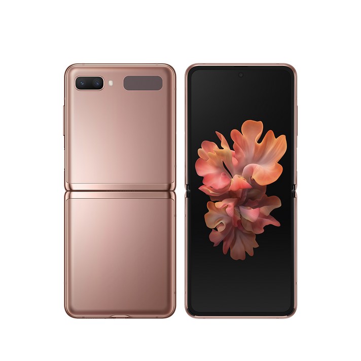 삼성전자 갤럭시 Z 플립 5G SM-F707, 미스틱 브론즈, 256GB