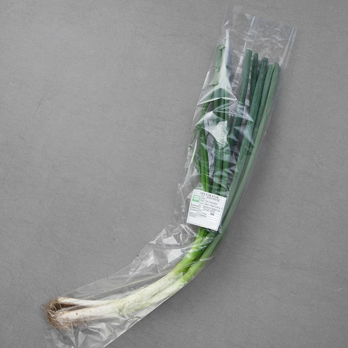 무농약 인증 국내산 대파, 300g, 1봉