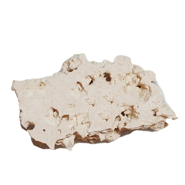 마르코락 프라임 컷 수석 1kg, 1개