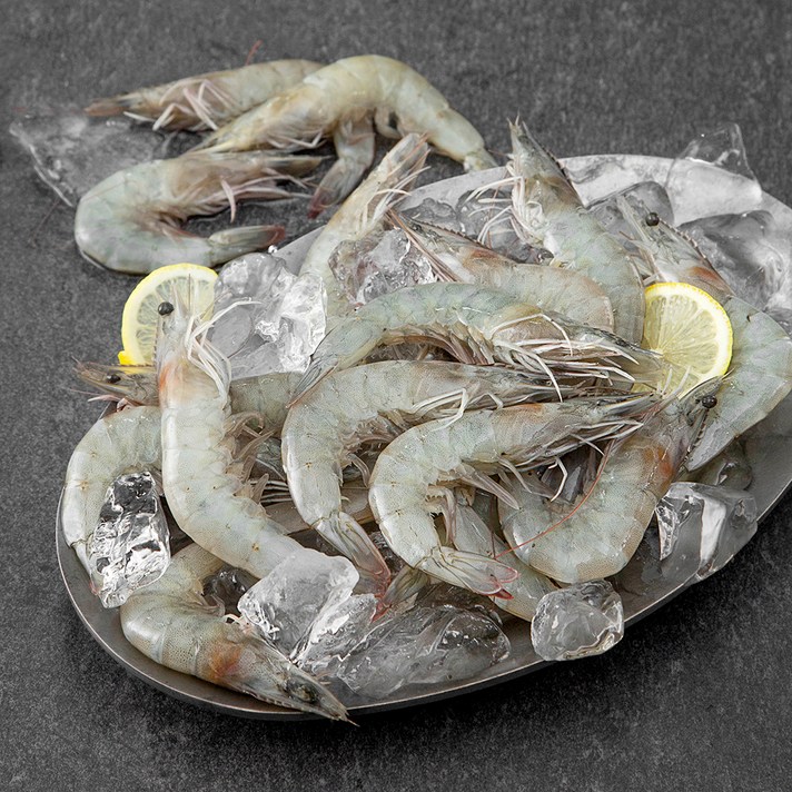 살맛나요 신안군수 품질보증 산지직송 생물새우, 500g(대), 1박스