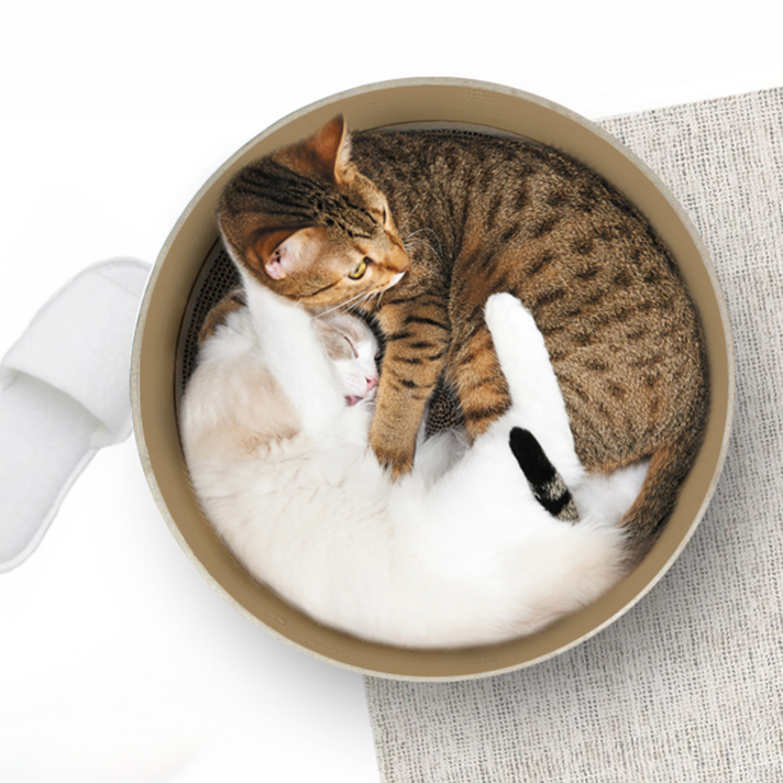 모던캣 노르딕 서클 고양이 스크래쳐, 핑크, 1개