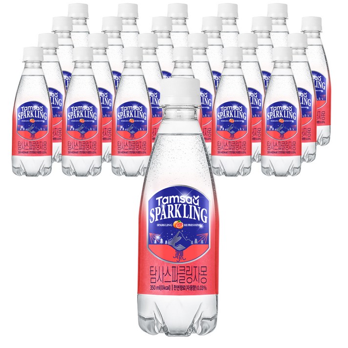 탐사 스파클링 자몽 탄산음료, 350ml, 24개입