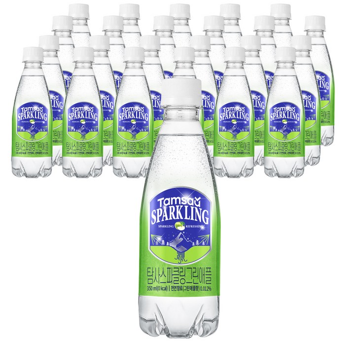 탐사 스파클링 그린애플 탄산음료, 350ml, 24개입