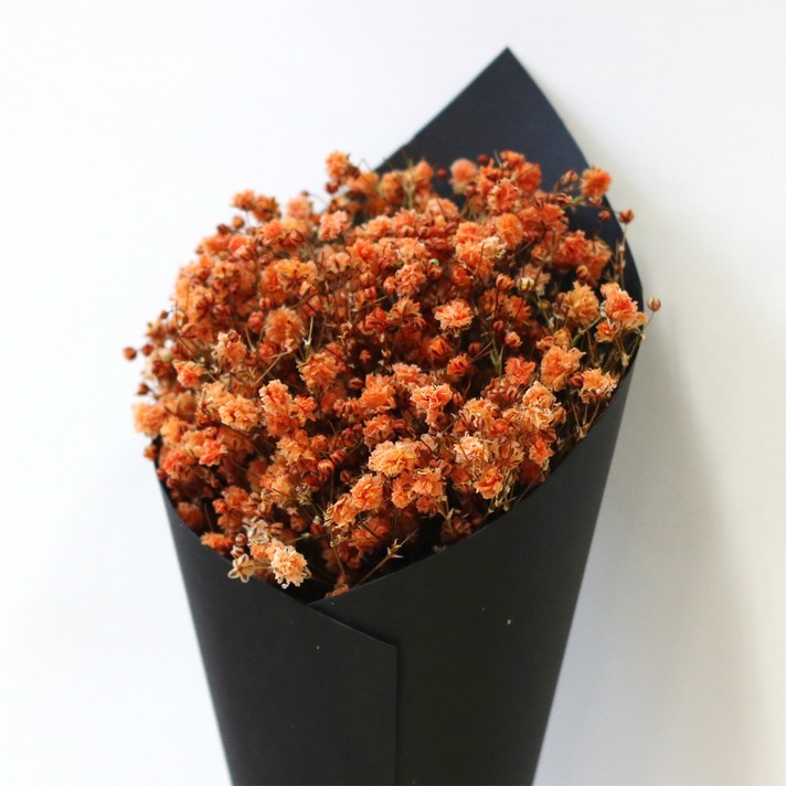 로맨틱노멤버 프리저브드 드라이플라워 미니 안개꽃다발 블랙, 안개꽃 어텀오렌지
