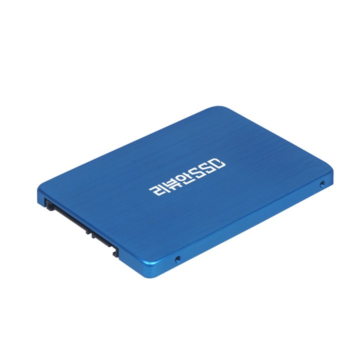 리뷰안 900G 비즈 SATA SSD, 512GB, 리뷰안 900G비즈 512GB