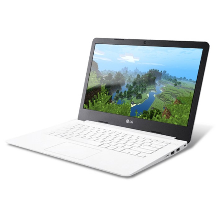 LG전자 2020 울트라 PC 14, 화이트, 셀러론, 256GB, 4GB, WIN10 Home, 14U390-ME1TK