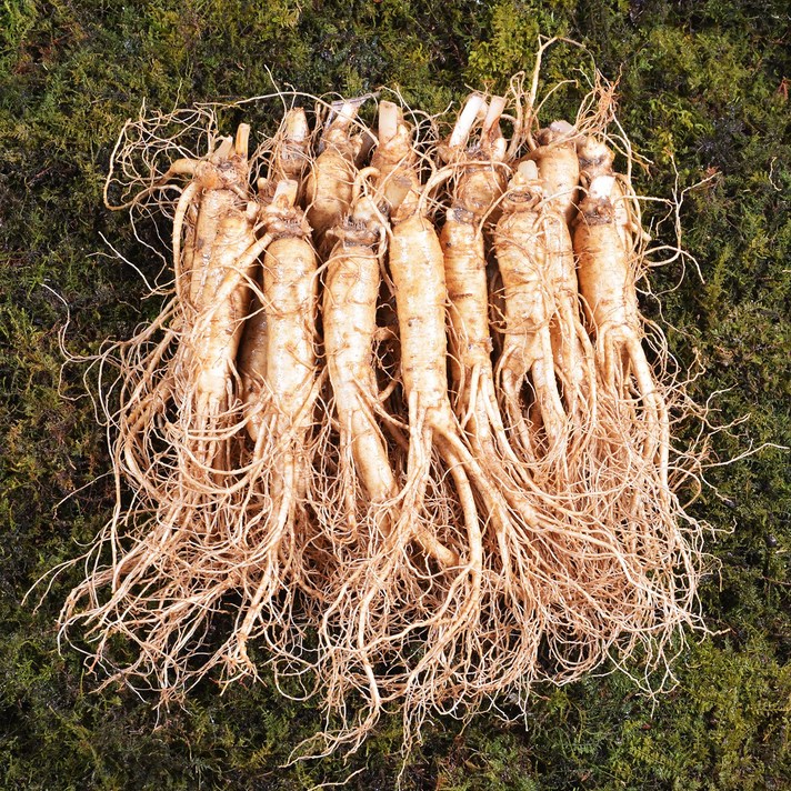 금산인삼 수삼 원수삼 중 무료세척 6년근 1채750g 14~17뿌리, 무료세척(약50g감량)