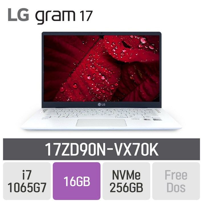 LG 2020그램 17ZD90N-VX70K, 16GB, SSD 256GB, 미포함