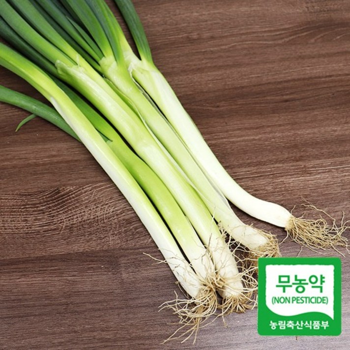 빛고을장터 국내산 무농약 대파 3kg 1kg내외, 1봉, 01_국내산 대파 (특/1kg)