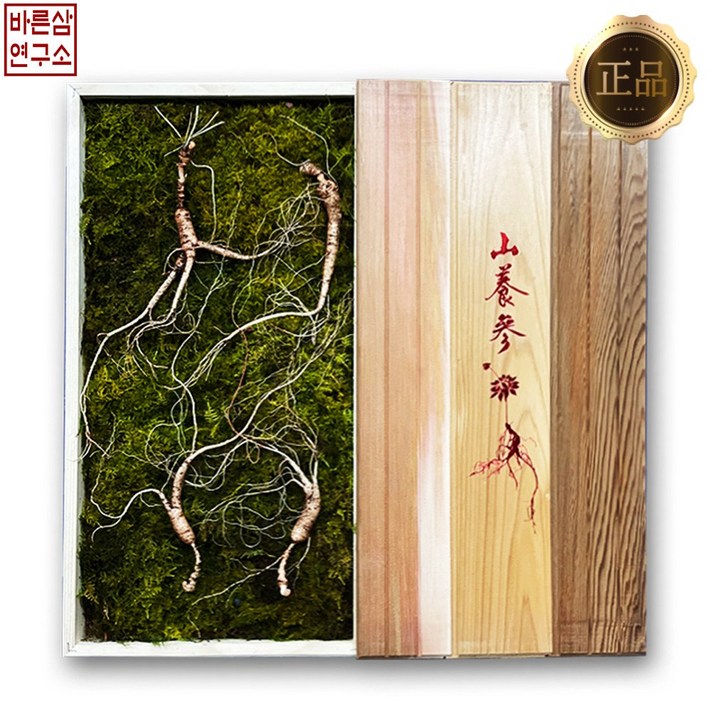 바른삼연구소 36년 심마니 국내산 산양삼 자연산 산양산삼 산양 산삼 장뇌삼 장뇌 7년근 10년 10년근 13년근, 선물포장(편백나무+고급보자기), 13년근 5뿌리