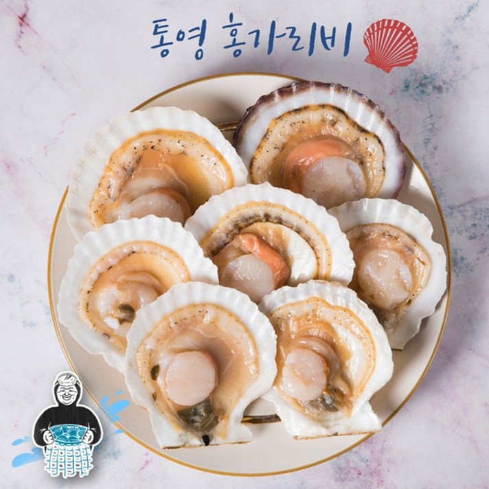 만덕수산 깨끗한 통영 홍가리비 1kg 3kg 5kg, 1개