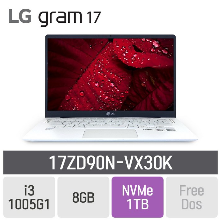 LG 그램17 2020 17ZD90N-VX30K, 8GB, SSD 1TB, 미포함