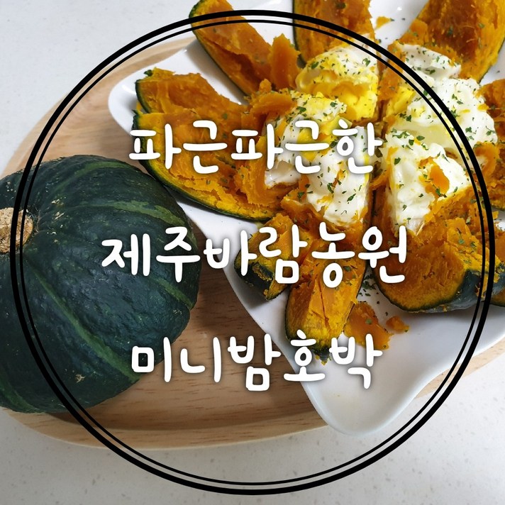 제주 파근파근한 미니 밤호박 단호박 (보우짱) 보짱, 1박스, 10키로