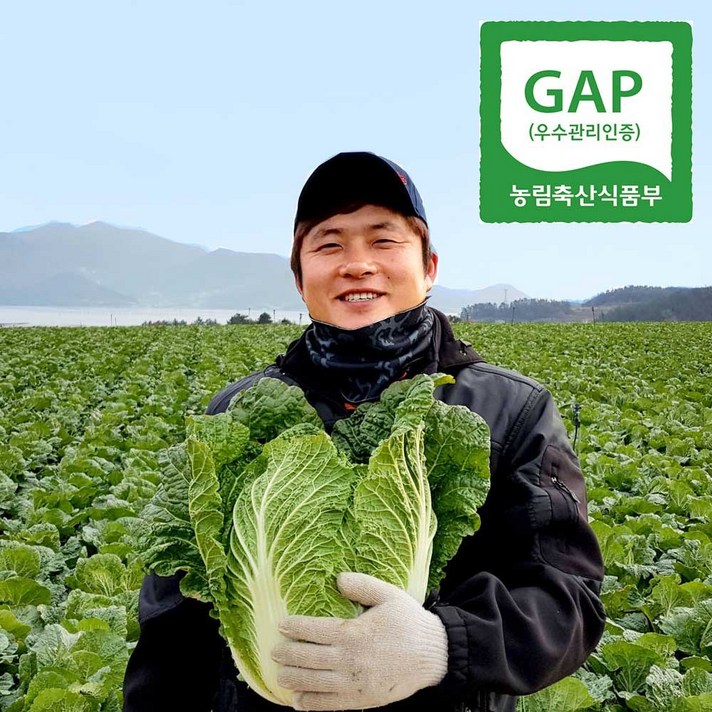 [땅끝사랑] 해남 절임배추 20kg 옵션에서 도착일을 지정해주세요, 11월09일(월)도착