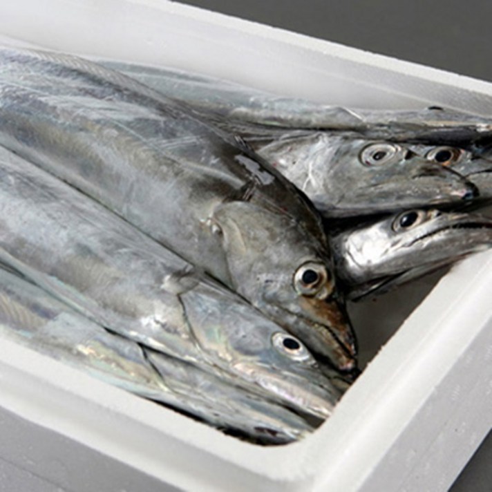 제주도청룡수산 청룡수산 제주 생물은갈치7미(75~80cm내외) 생선>>갈치, 단품”> </div>
<div class=