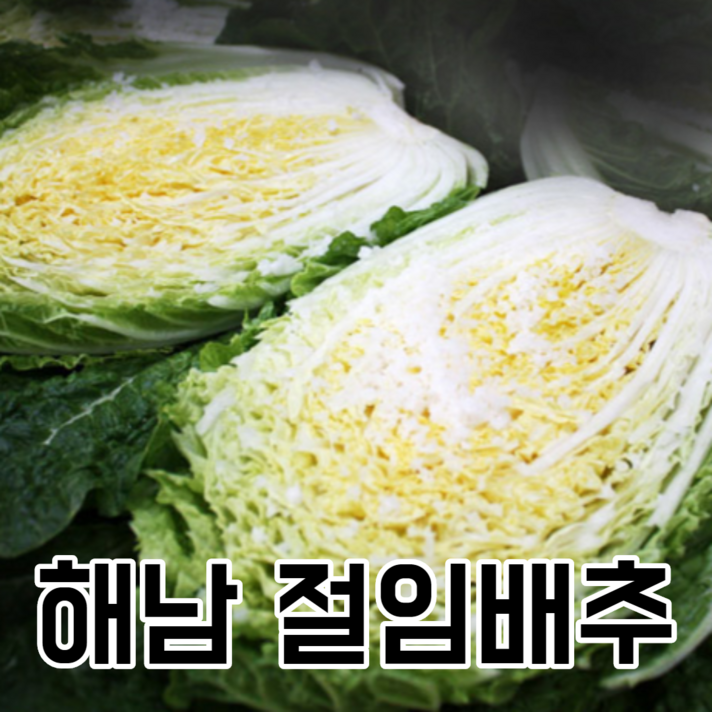 [지정일배송] 해남 속이 꽉찬 절임배추 김장 배추 20kg, 바로발송