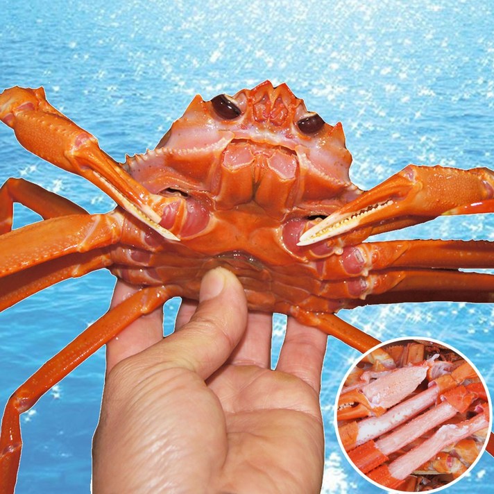[장군수산] 속초 홍게 실속형 3kg 외 고급형 명품형 찜 후 포장, 1box, 0B. 홍게 고급형 3kg( 찜후 포장 발송)