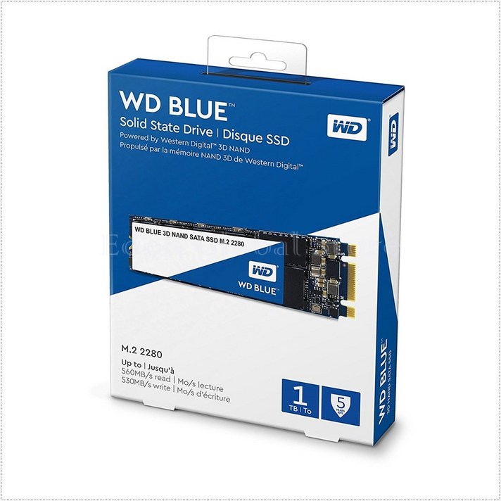 웨스턴디지털 블루 1TB M.2 2280 SSD, WDS100T2B0B