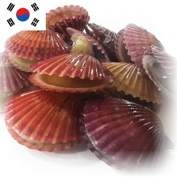 삼시세끼연구소 홍 가리비 1kg 2kg 깔끔 세척 통영 산지직송, 1kg(25-30미 얼음 생물포장)