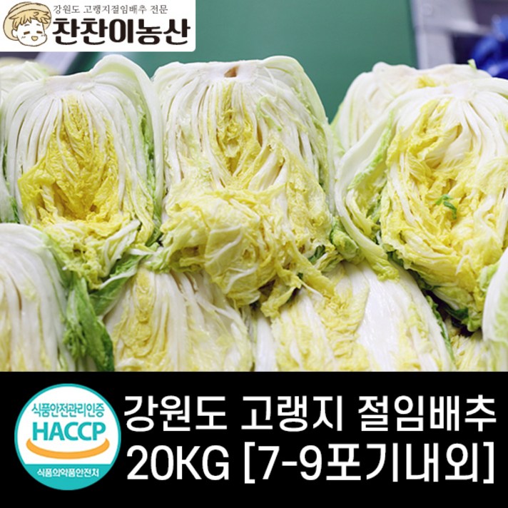 HACCP인증 절임배추20kg! 강원도 고랭지절임배추 찬찬이 [날짜지정/무료배송], 11월 5일(목) 출고