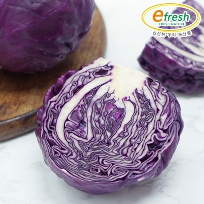 제일월드통상 신선한 적 양배추 5kg / 개당 700g 내외, 단일상품, 기타