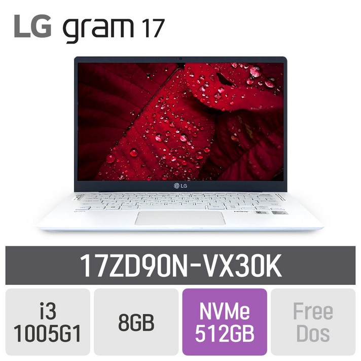 LG 그램17 2020 17ZD90N-VX30K, 8GB, SSD 512GB, 미포함