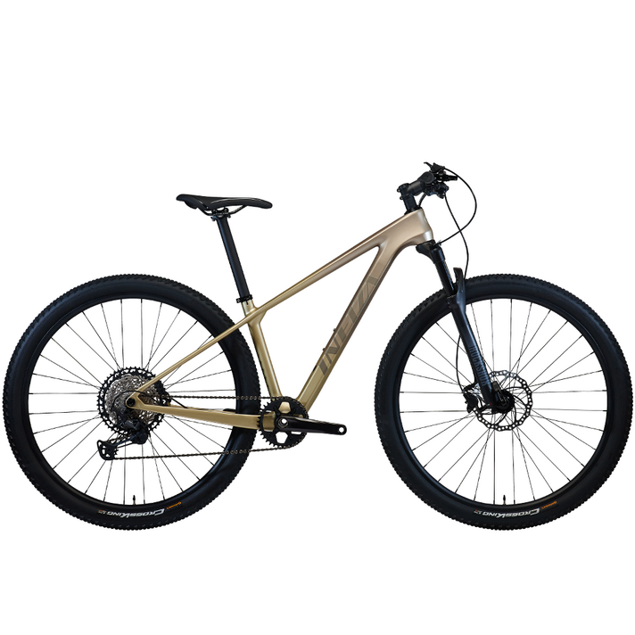 알톤스포츠 인피자 XZ9H 29인치 MTB 카본 자전거 시마노 XT 12단 유압식, 매트샌드베이지, 1개 알톤스포츠 인피자 XZ9H 29인치 MTB 카본 자전거 시마노 XT 12단 유압식, 매트샌드베이지, 1개
