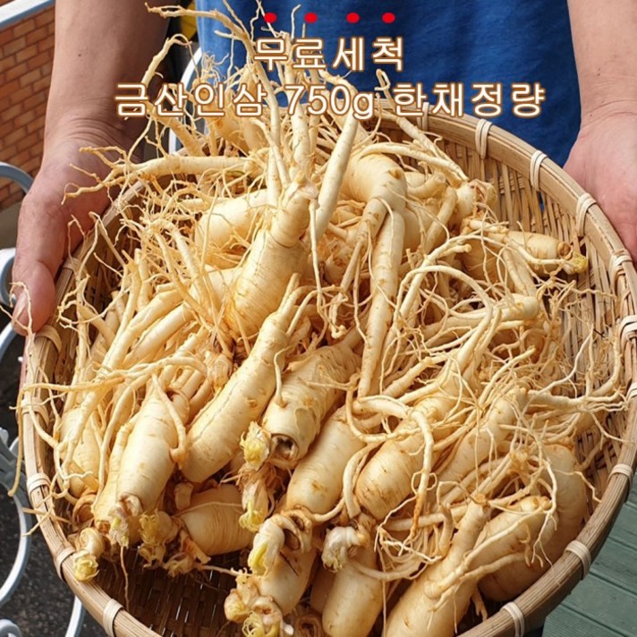 삼돌이인삼 [삼돌이인삼] 금산인삼 무.료.세.척 농가직거래 750g 20뿌리 내외, 세척 (28368856)