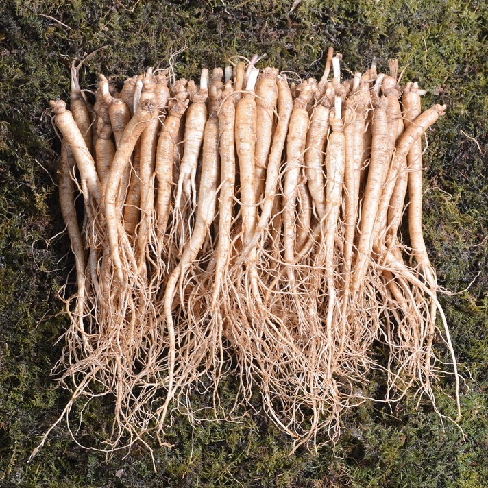 금산인삼 수삼 삼계삼소 무료세척 백숙용 삼계용 업소용 750g 70~100뿌리 3~5년근, 흙 묻은채 배송