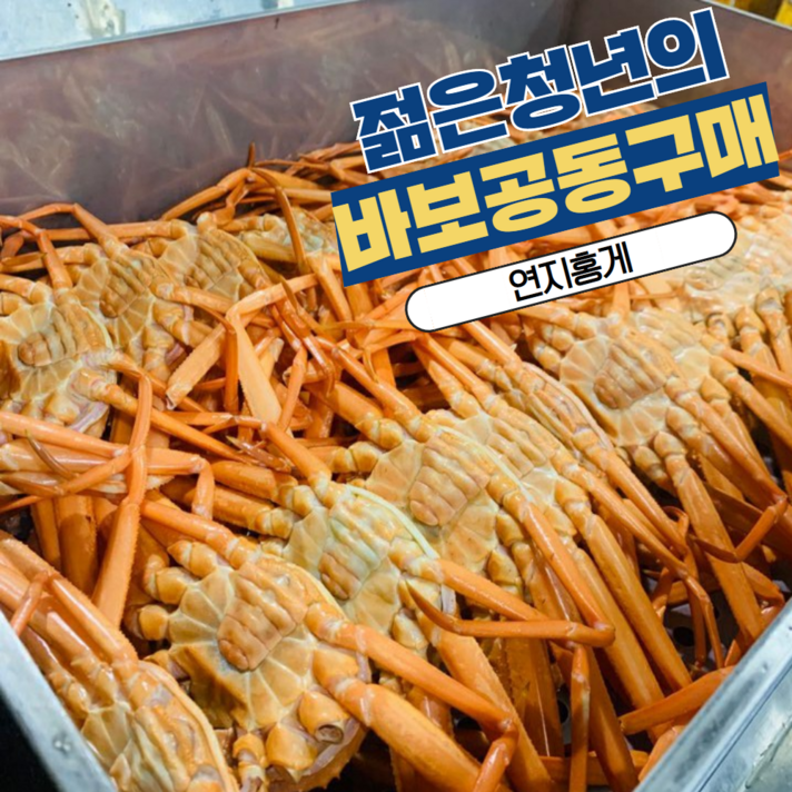 [바보공구] 프리미엄 연지홍게 3kg (수율85%이상 자숙후2kg쯤), 1팩, 3kg (자숙후2kg)