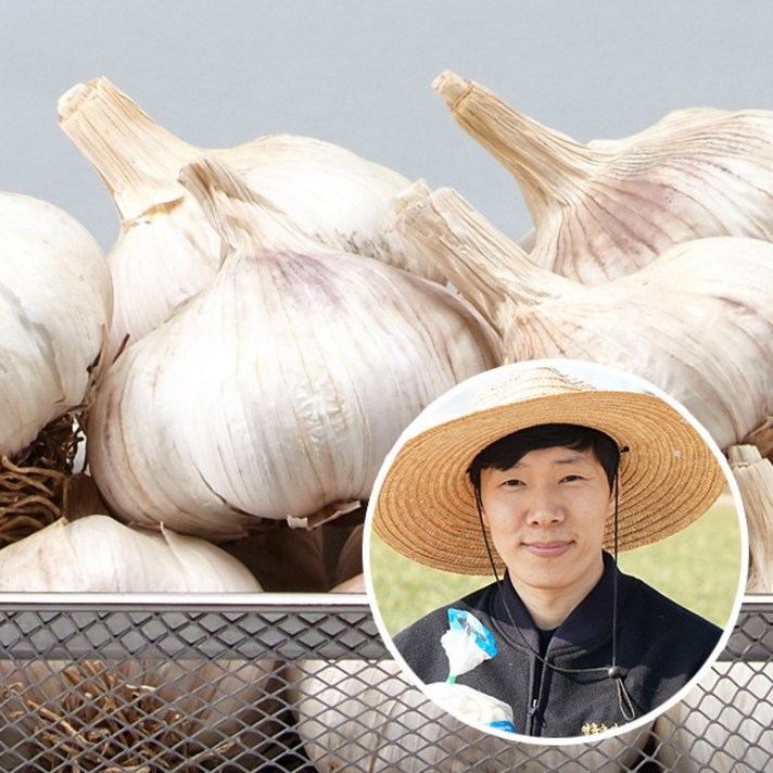 친환경팔도 [산지직송] 황토 무안 통마늘(대서) 대1kg, 1kg, 1개