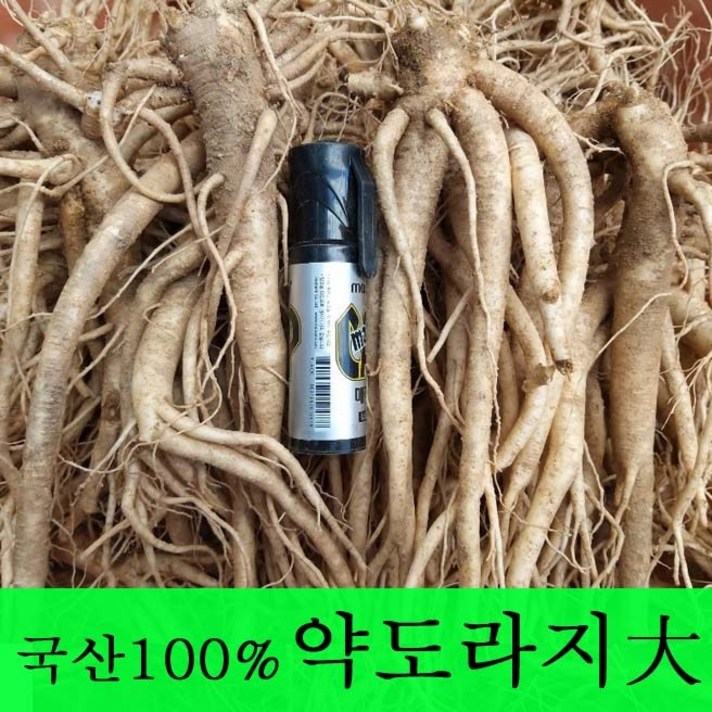 [금산도라지] 직접재배한 생도라지1kg >산지직송>국산도라지 약도라지 엑기스용 나물용 무침 정과용 배즙용 *도매전문*, 1개, 약도라지(大) 1kg”>		</div>
<div class=