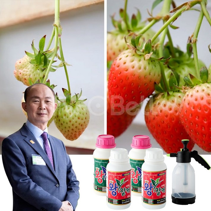 인포벨 김일호 왕잘커 식물 영양제 병해충 방제 작물 성장 텃밭 화분 화초 병충해 뿌리 스프레이, 4개, 500ml