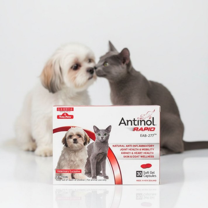 안티놀 안티놀래피드 강아지오메가3 강아지피부영양제