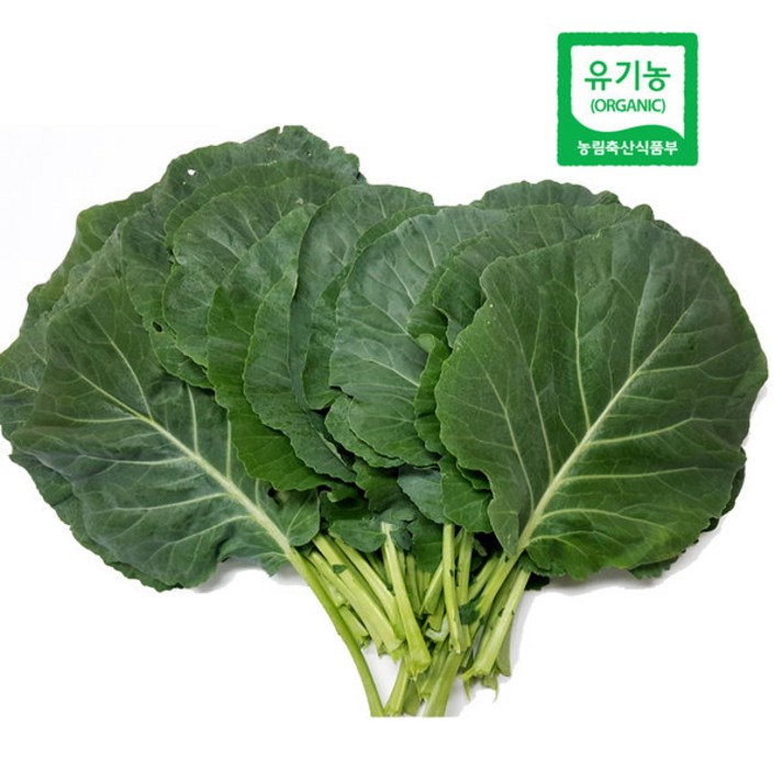 찬들마루 휴엔팜 유기농 녹즙용 케일 1kg, 1박스